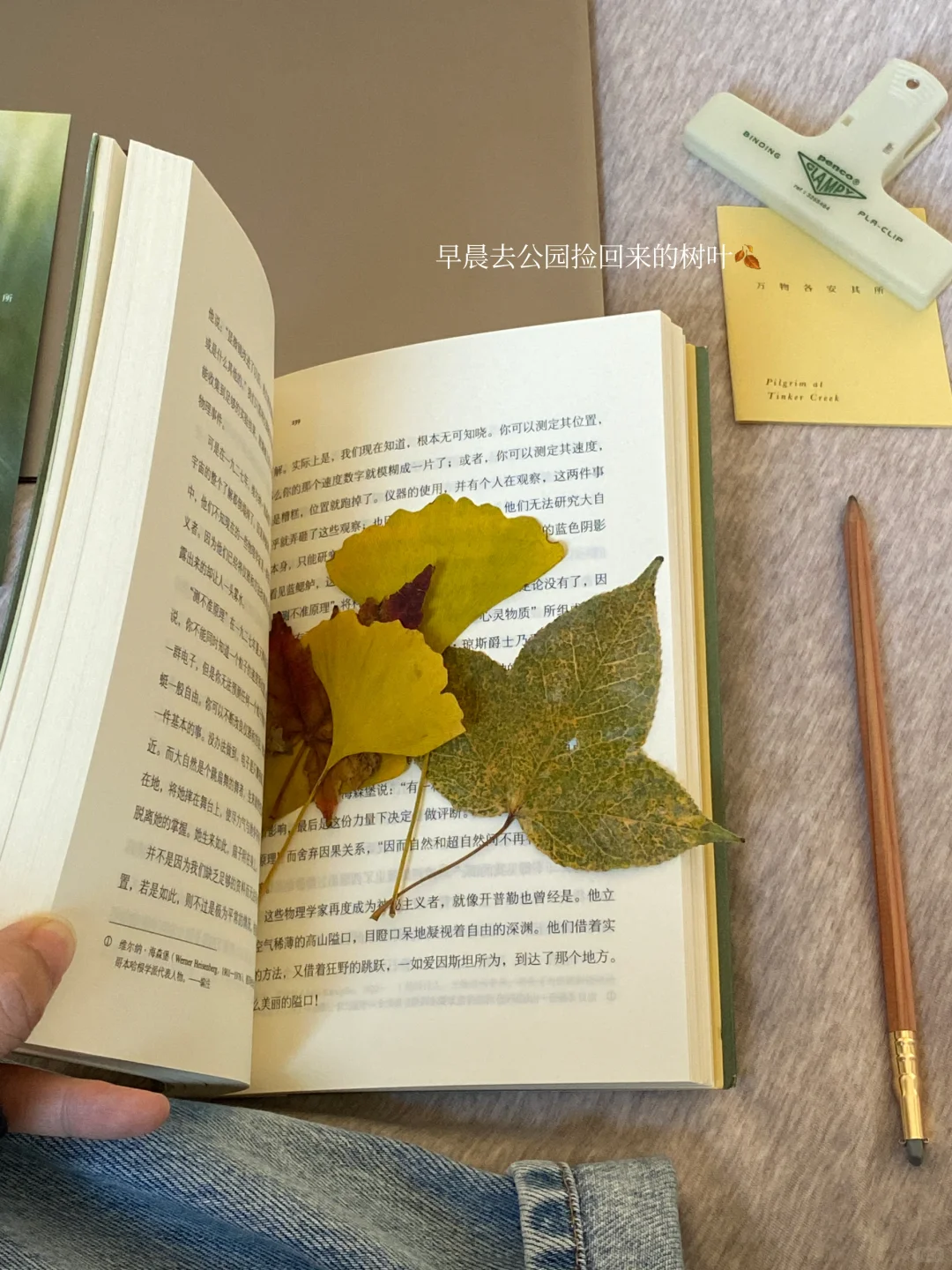 挖到宝了❕她的文字美到令人心颤啊啊啊