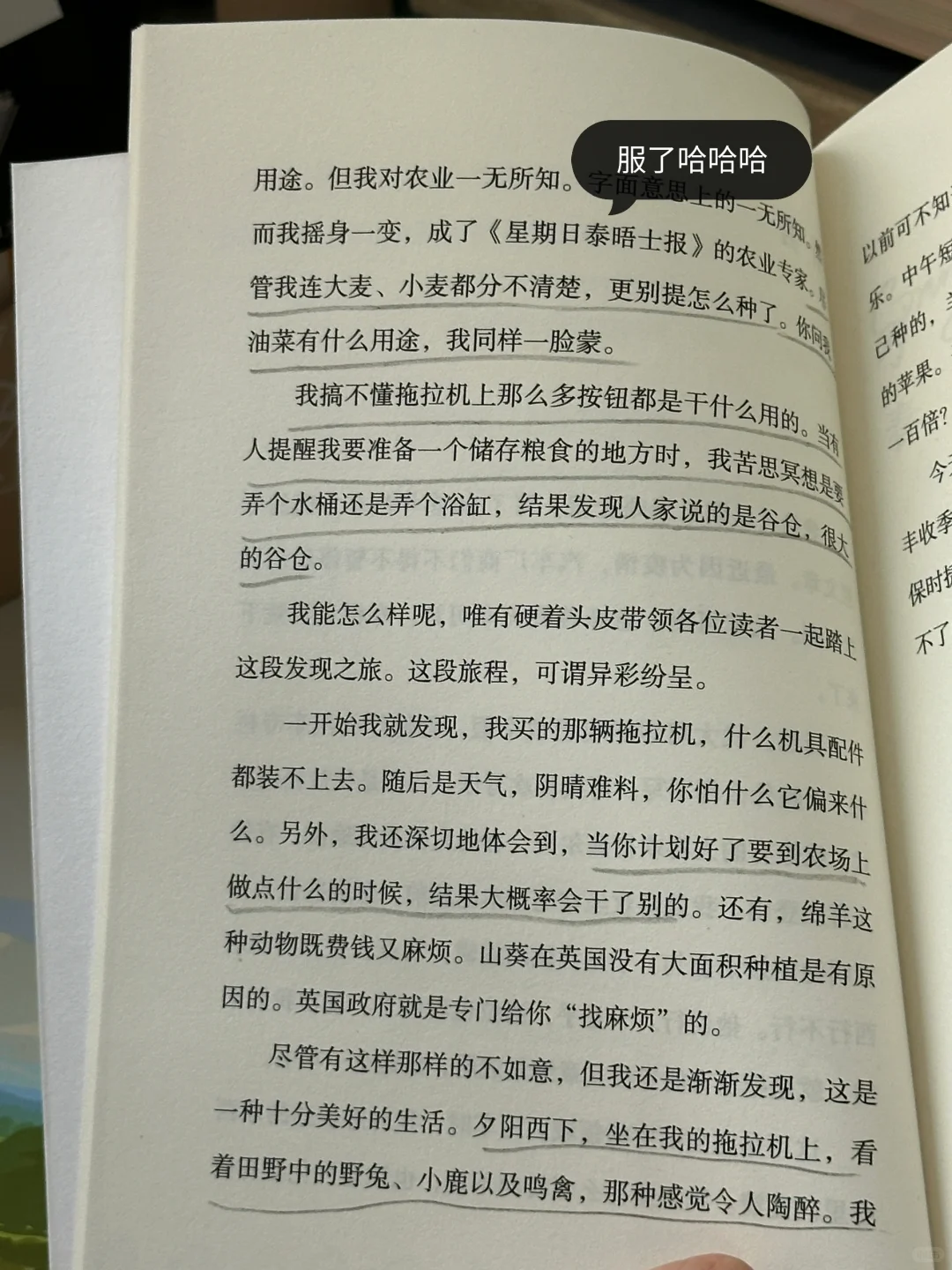 求你们去看！今年读到最最最解压的一本！