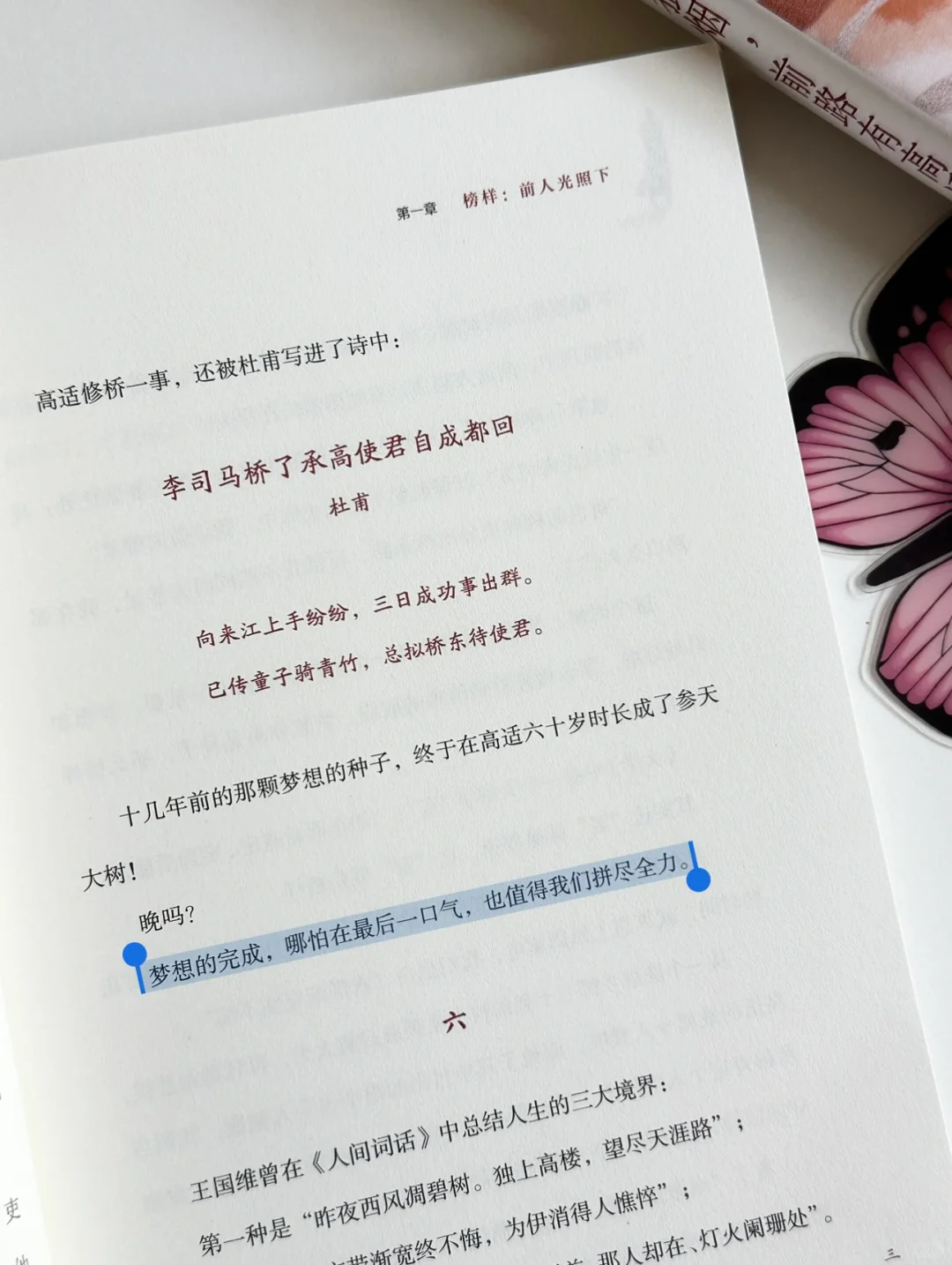 今天被这本书彻底治愈了我的焦虑✨
