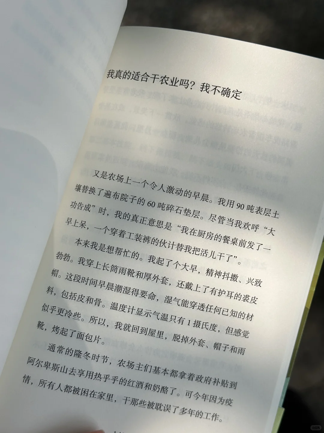求你们去看！今年读到最最最解压的一本！