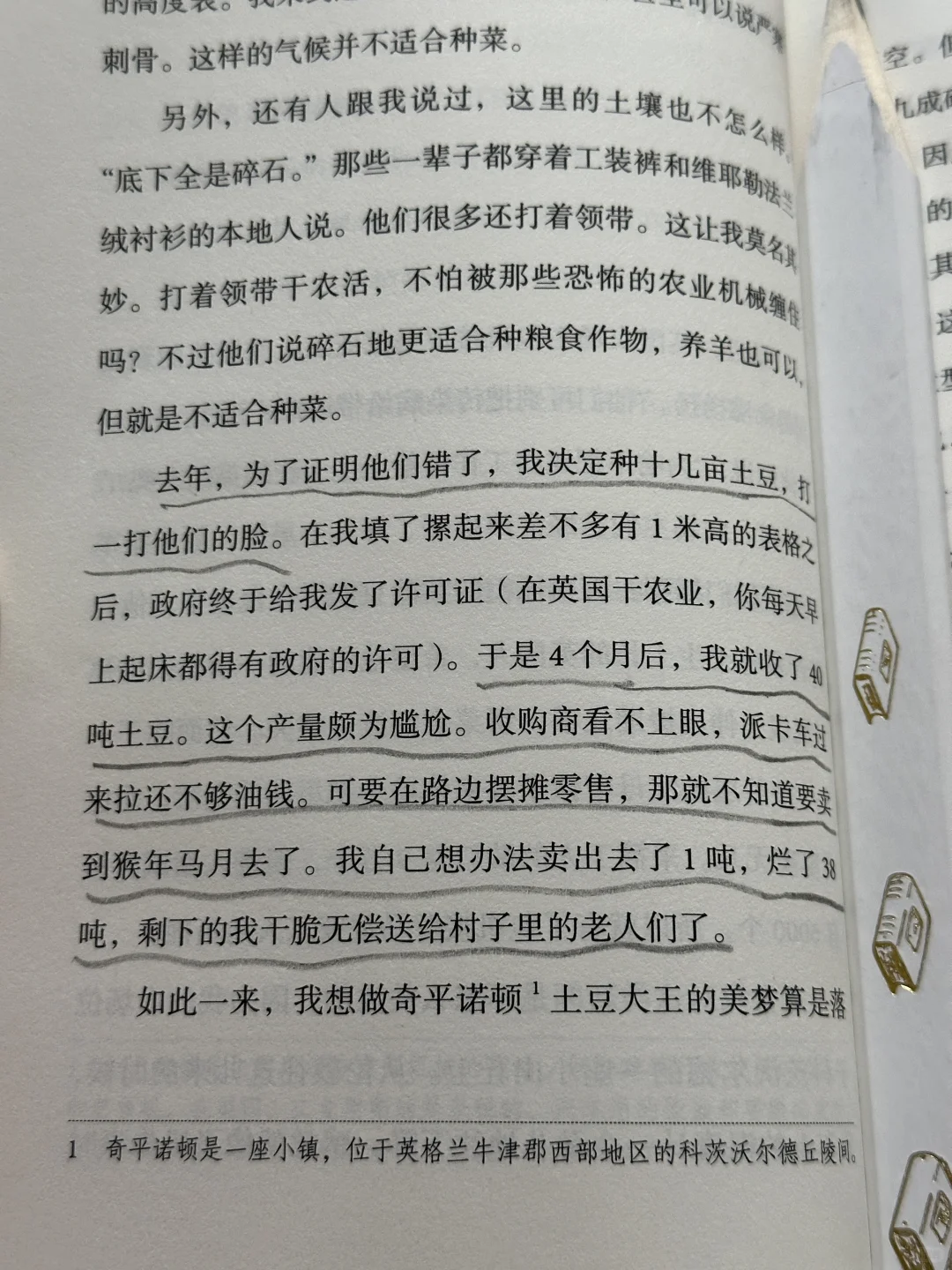 求你们去看！今年读到最最最解压的一本！