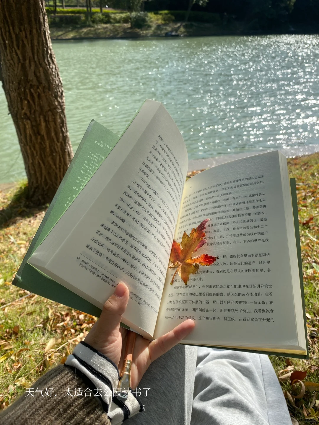 挖到宝了❕她的文字美到令人心颤啊啊啊