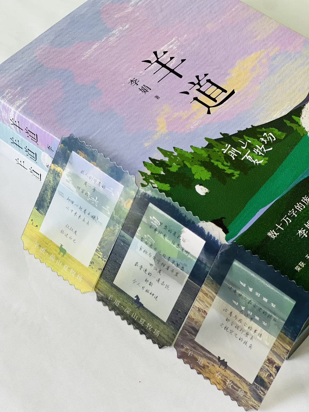 赠书｜我宣布！今年夏天蕞治愈的书出现了！