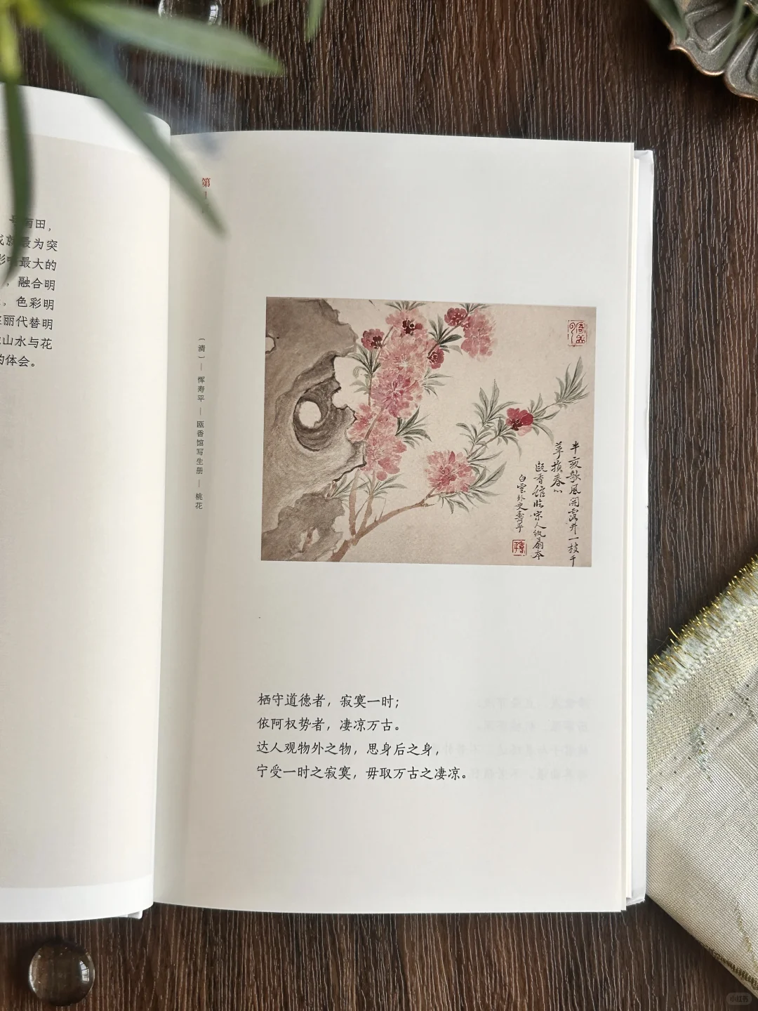 高分奇书|句句皆精华,小书里藏着处世大智慧