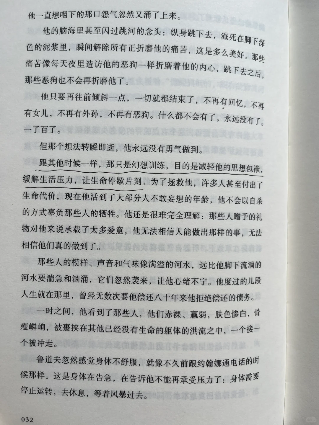 平静不属于人类，属于晒太阳的猫、不动的山。