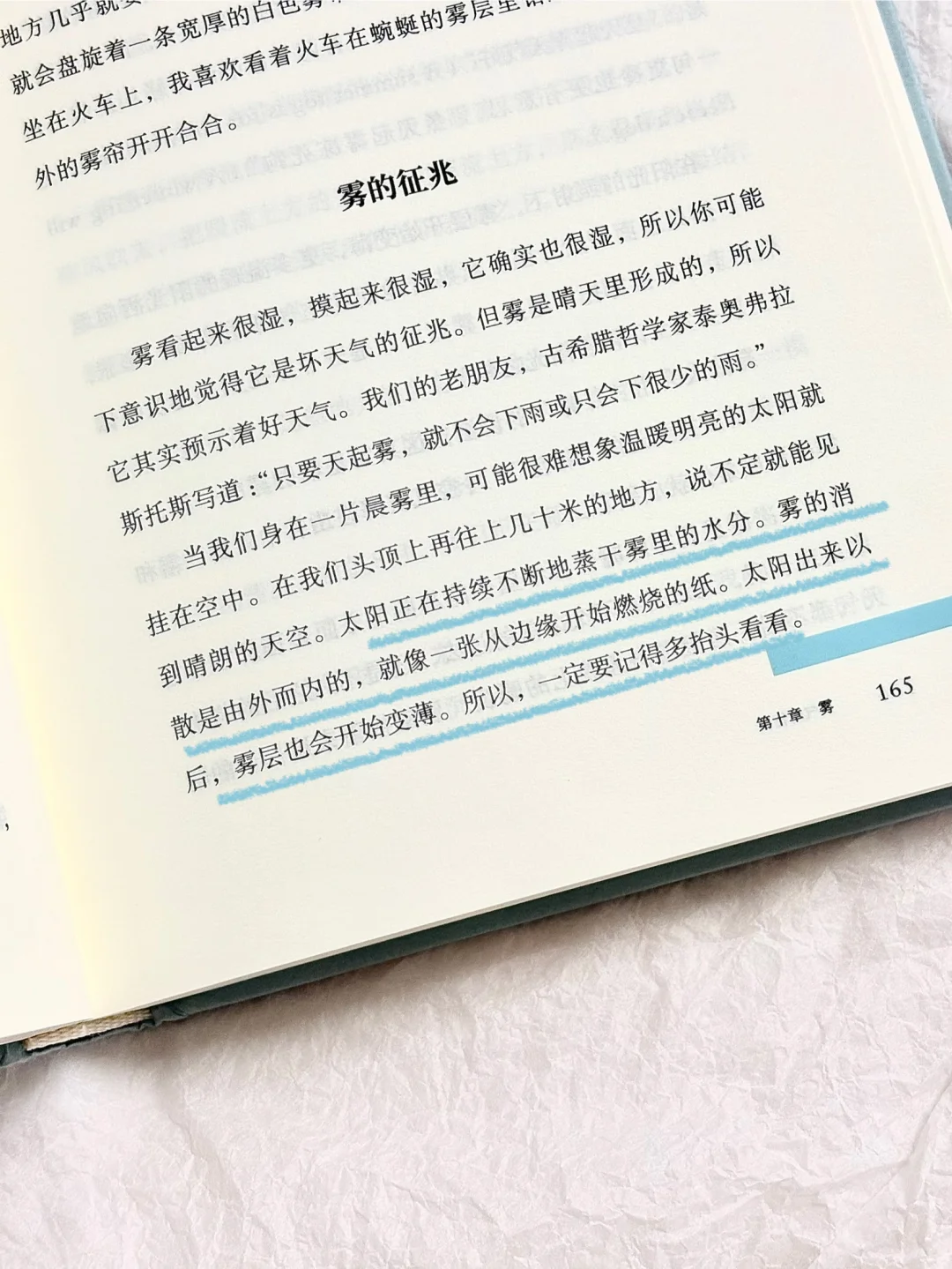 天呐❕怎么会有这么有趣又治愈的书啊啊啊