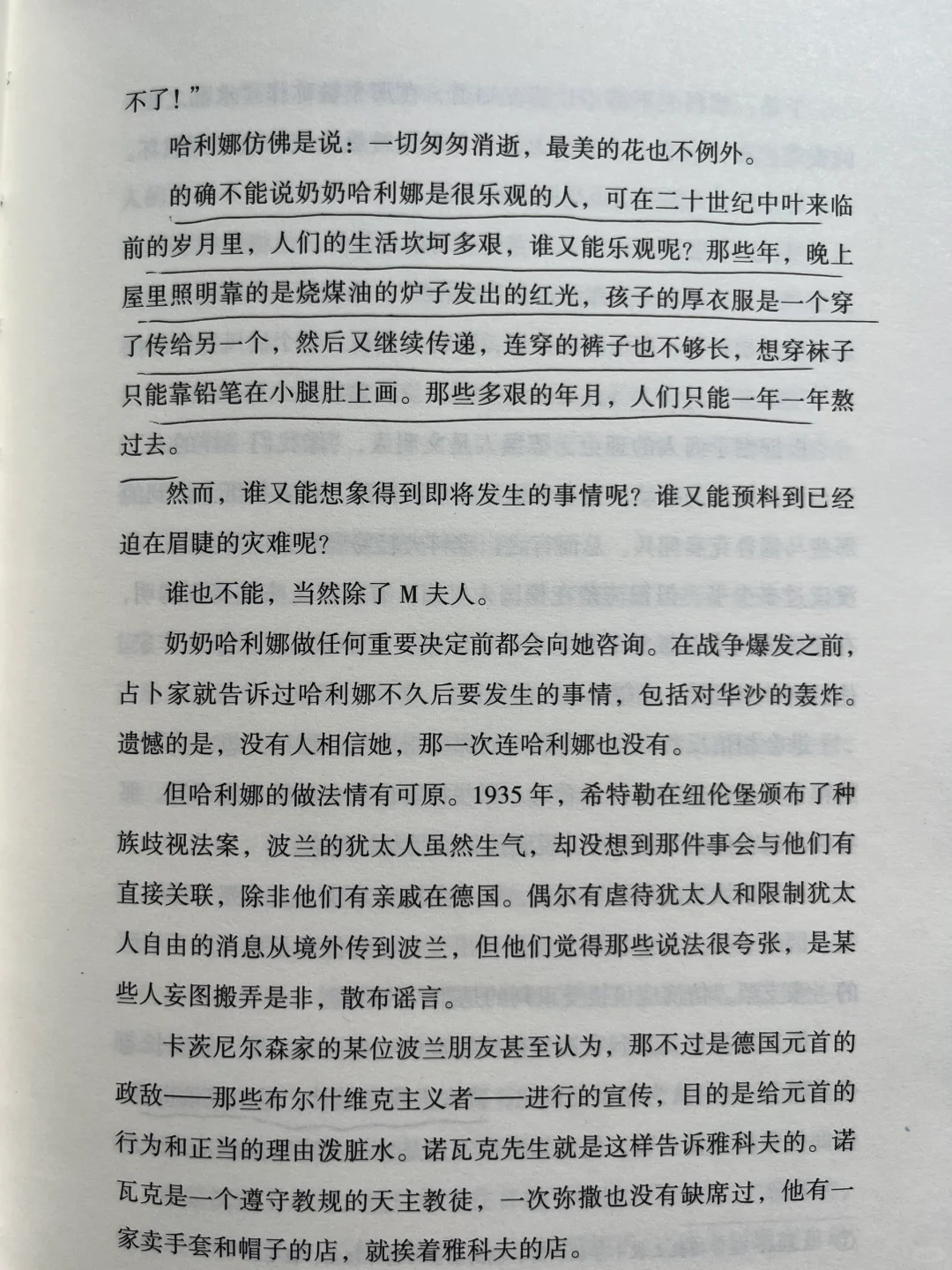 平静不属于人类，属于晒太阳的猫、不动的山。