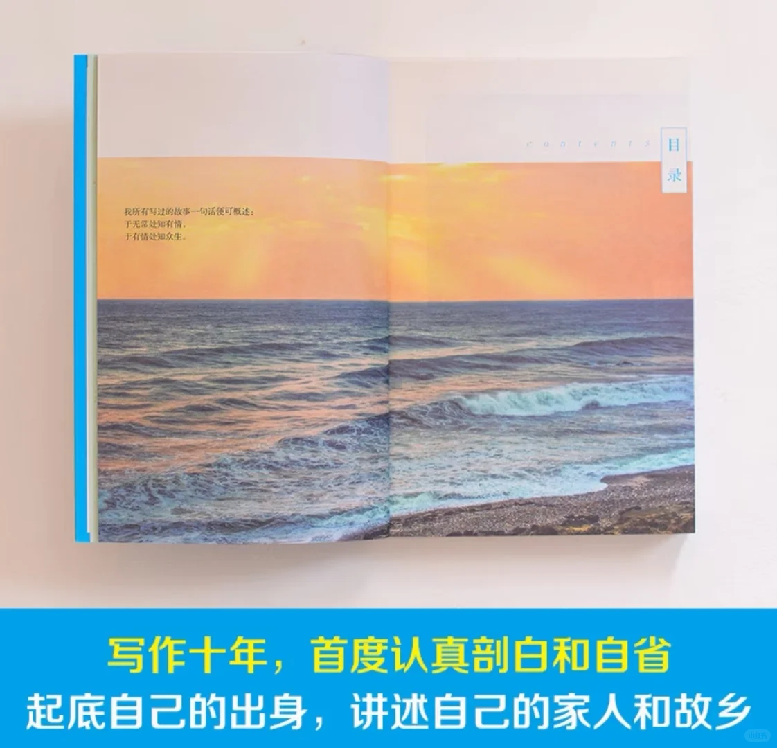 隆重推荐大冰的新书《保重》