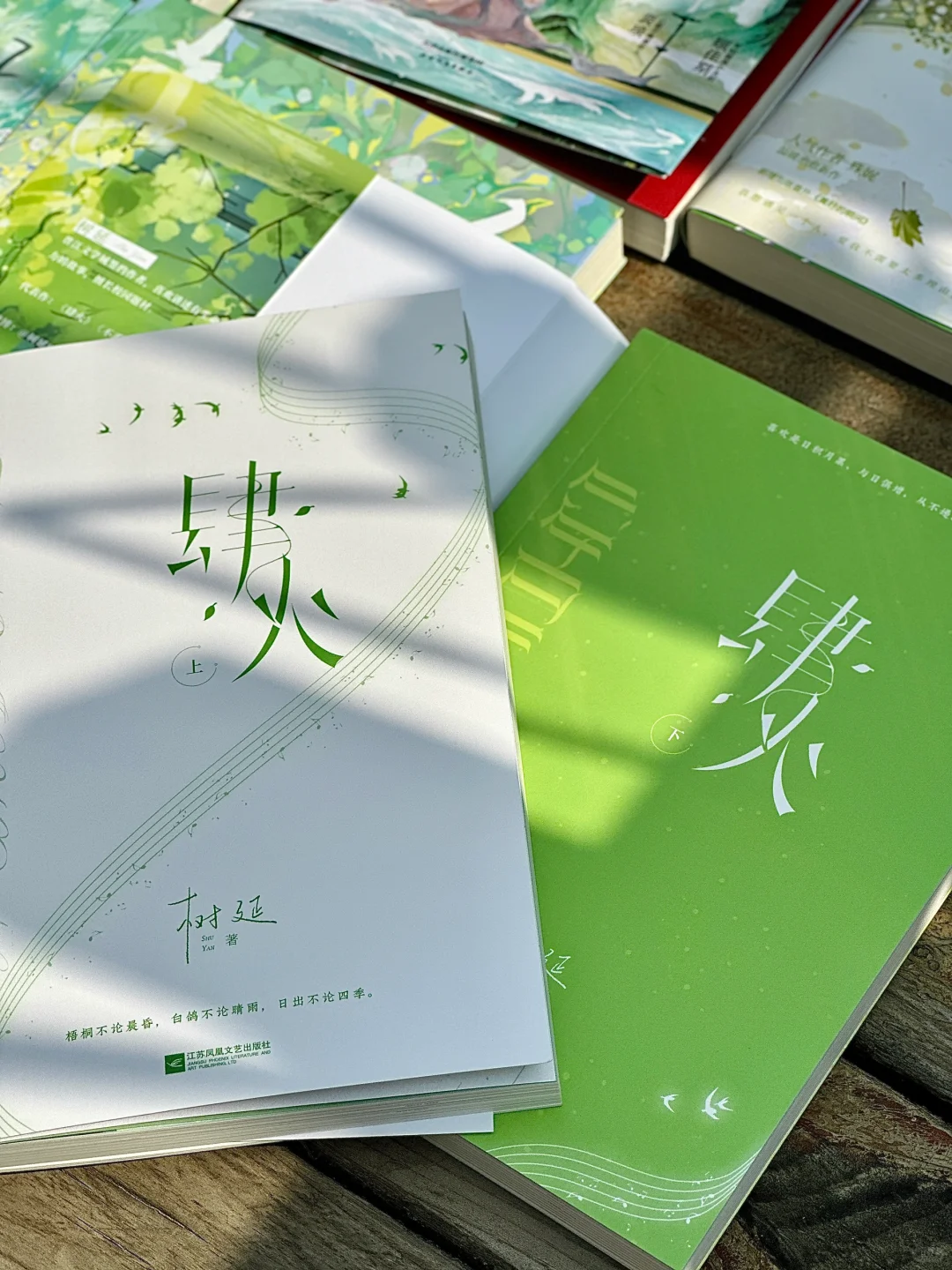 绿意盎然，夏日心动治愈书单📚