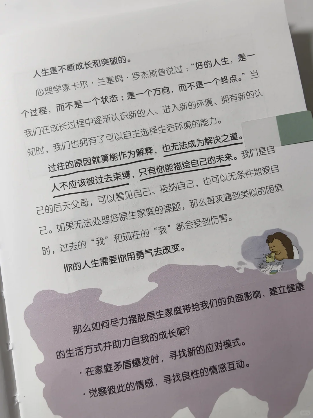 太治愈了！2025年让我哭着笑出来的书！😭