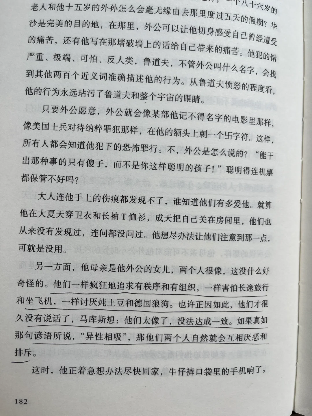 平静不属于人类，属于晒太阳的猫、不动的山。