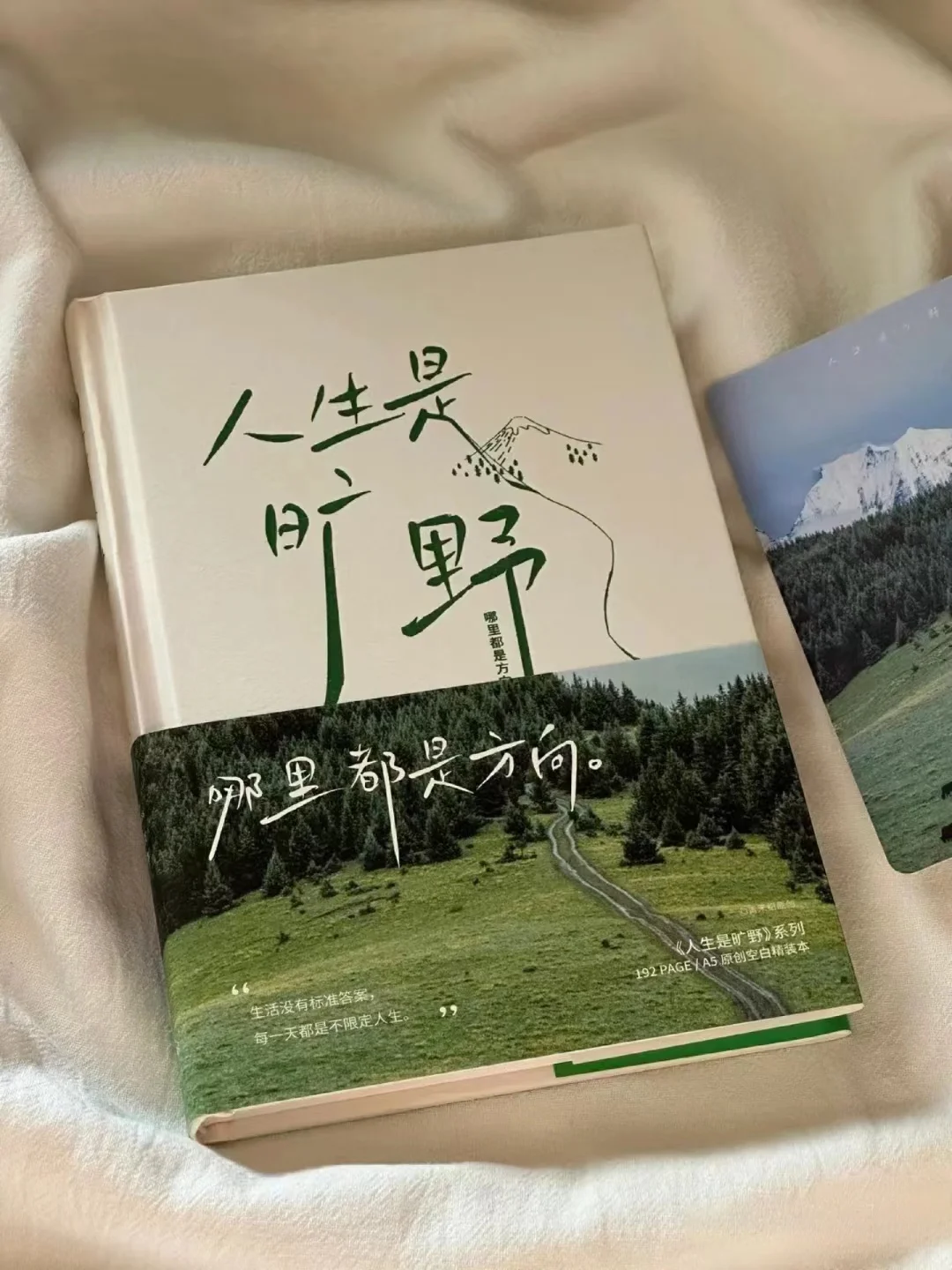 毕淑敏这本新书，狠狠治愈了内耗