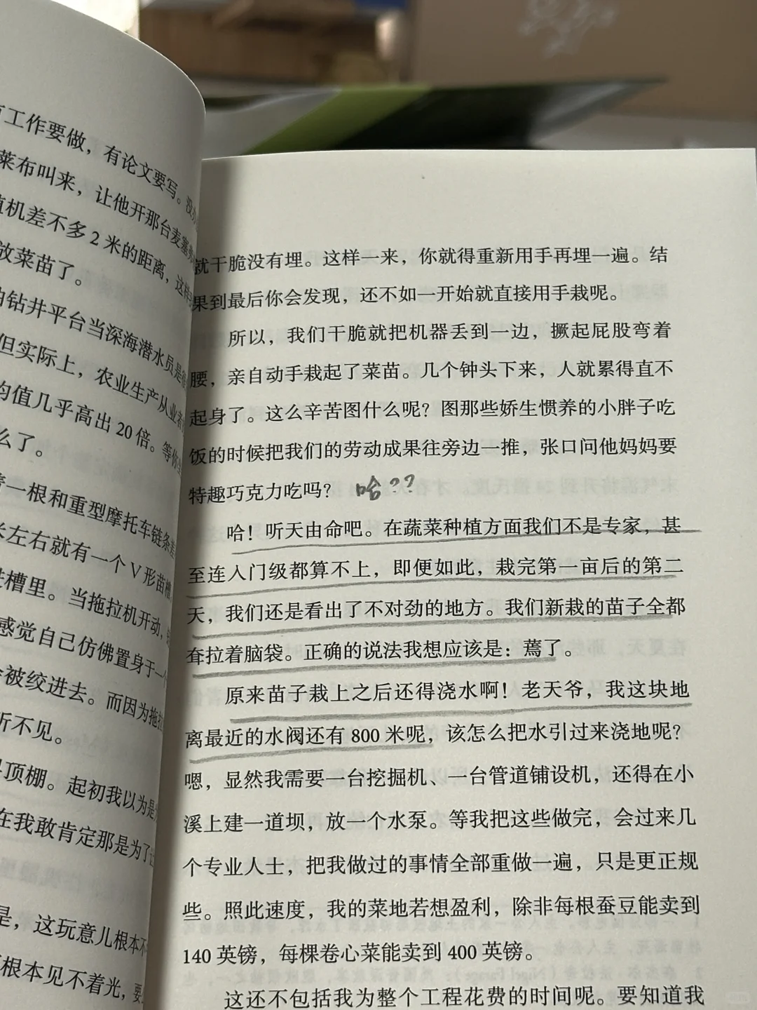 求你们去看！今年读到最最最解压的一本！