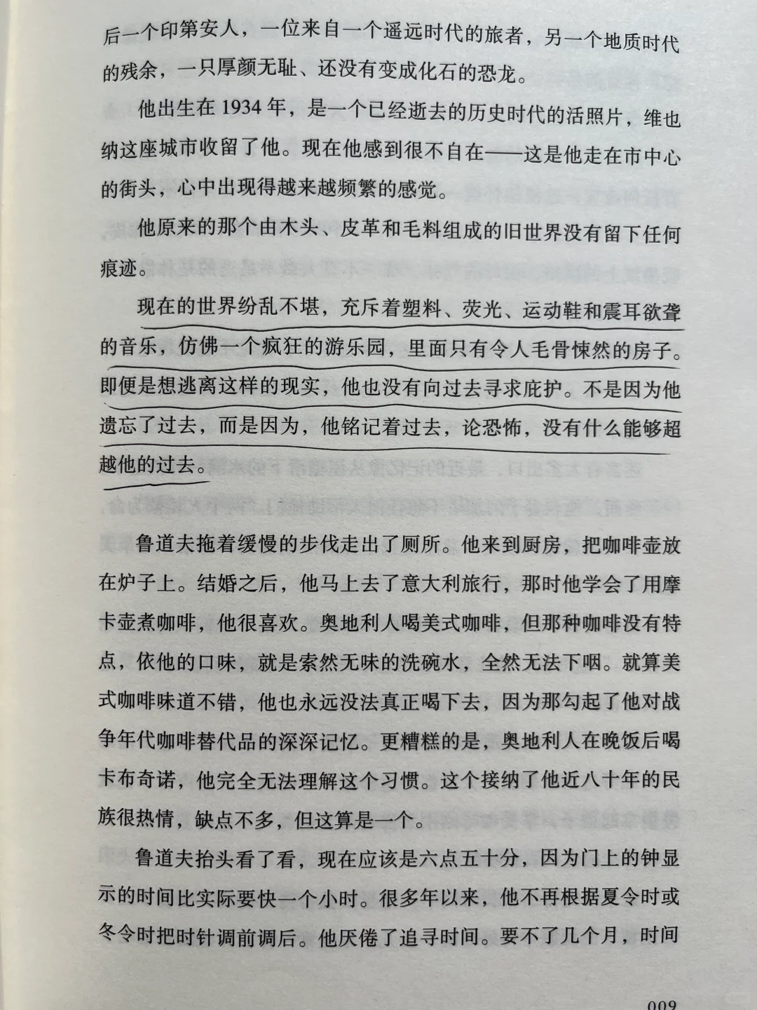 平静不属于人类，属于晒太阳的猫、不动的山。