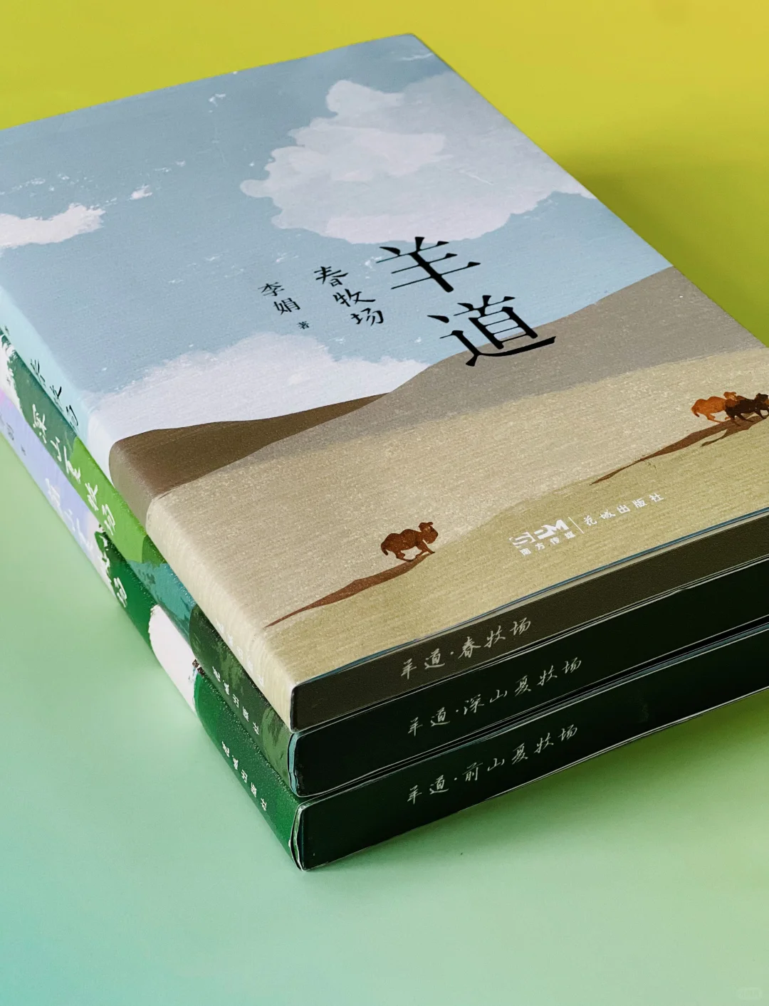 赠书｜我宣布！今年夏天蕞治愈的书出现了！