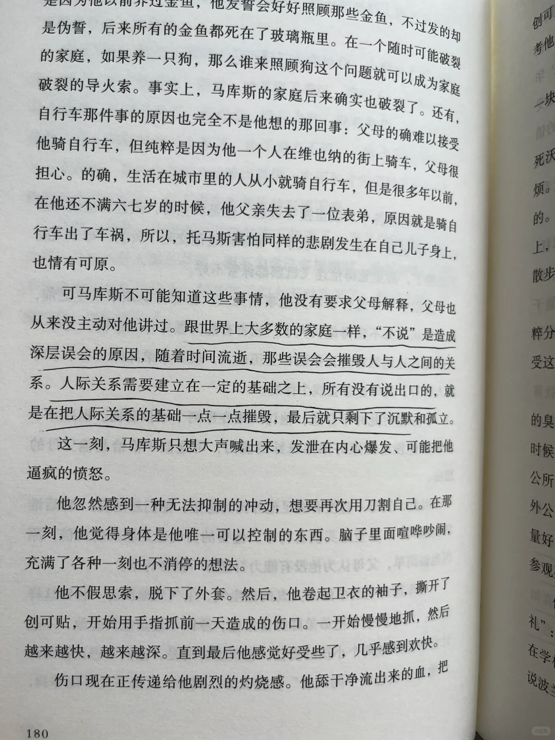 平静不属于人类，属于晒太阳的猫、不动的山。