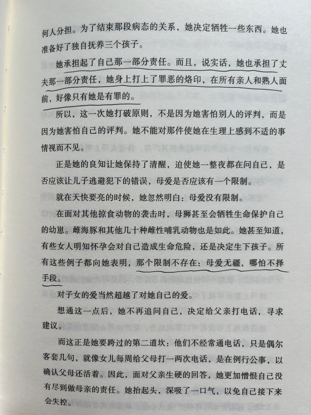 平静不属于人类，属于晒太阳的猫、不动的山。
