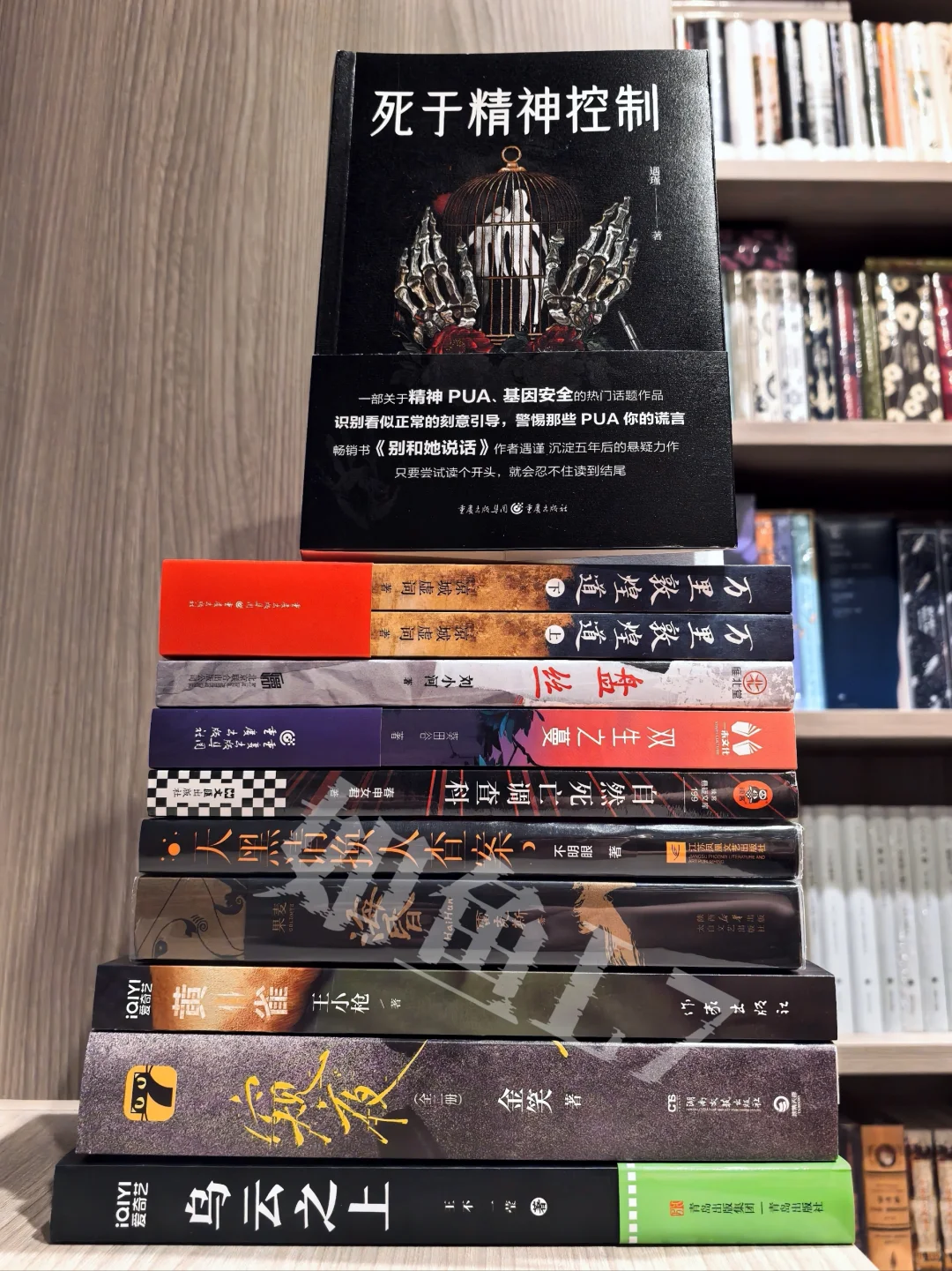 2025年4~5月鱼叔新购阅国产悬疑新作10种