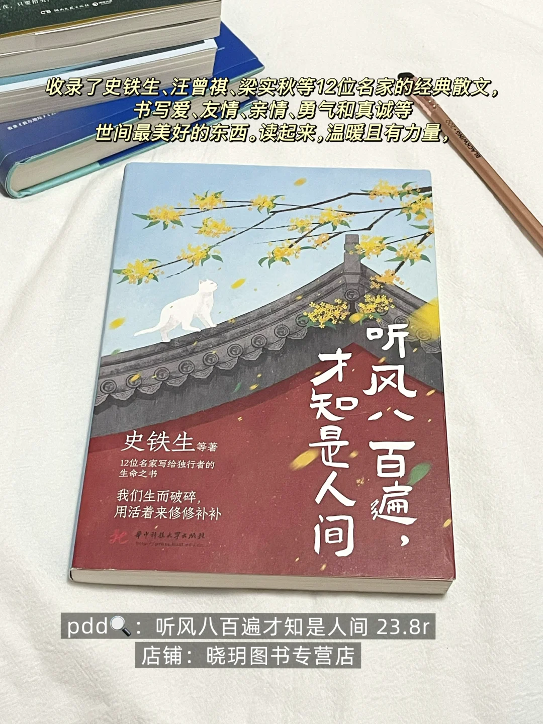 想安利给全世界的蓝色系治愈书单！pdd