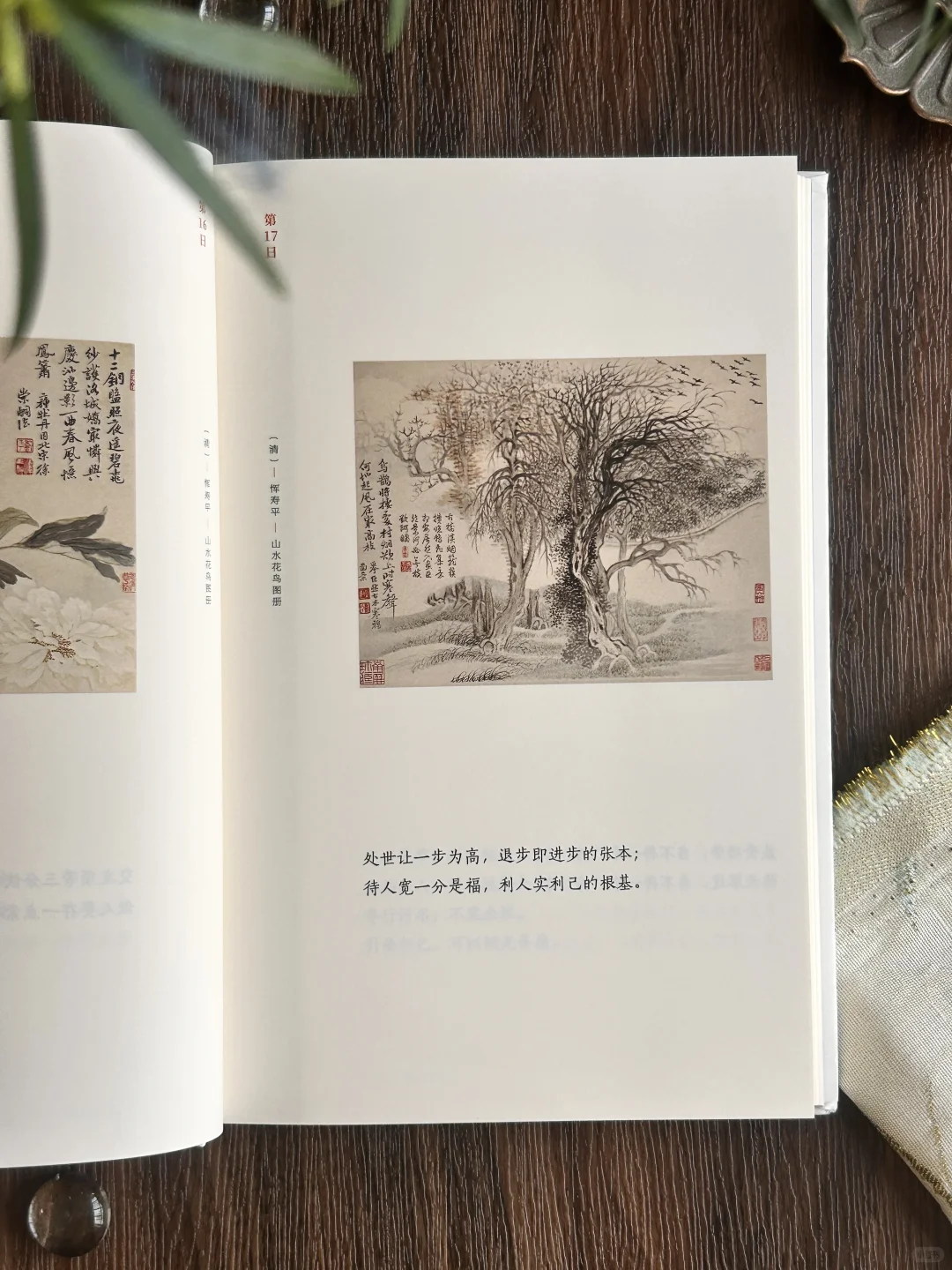 高分奇书|句句皆精华,小书里藏着处世大智慧