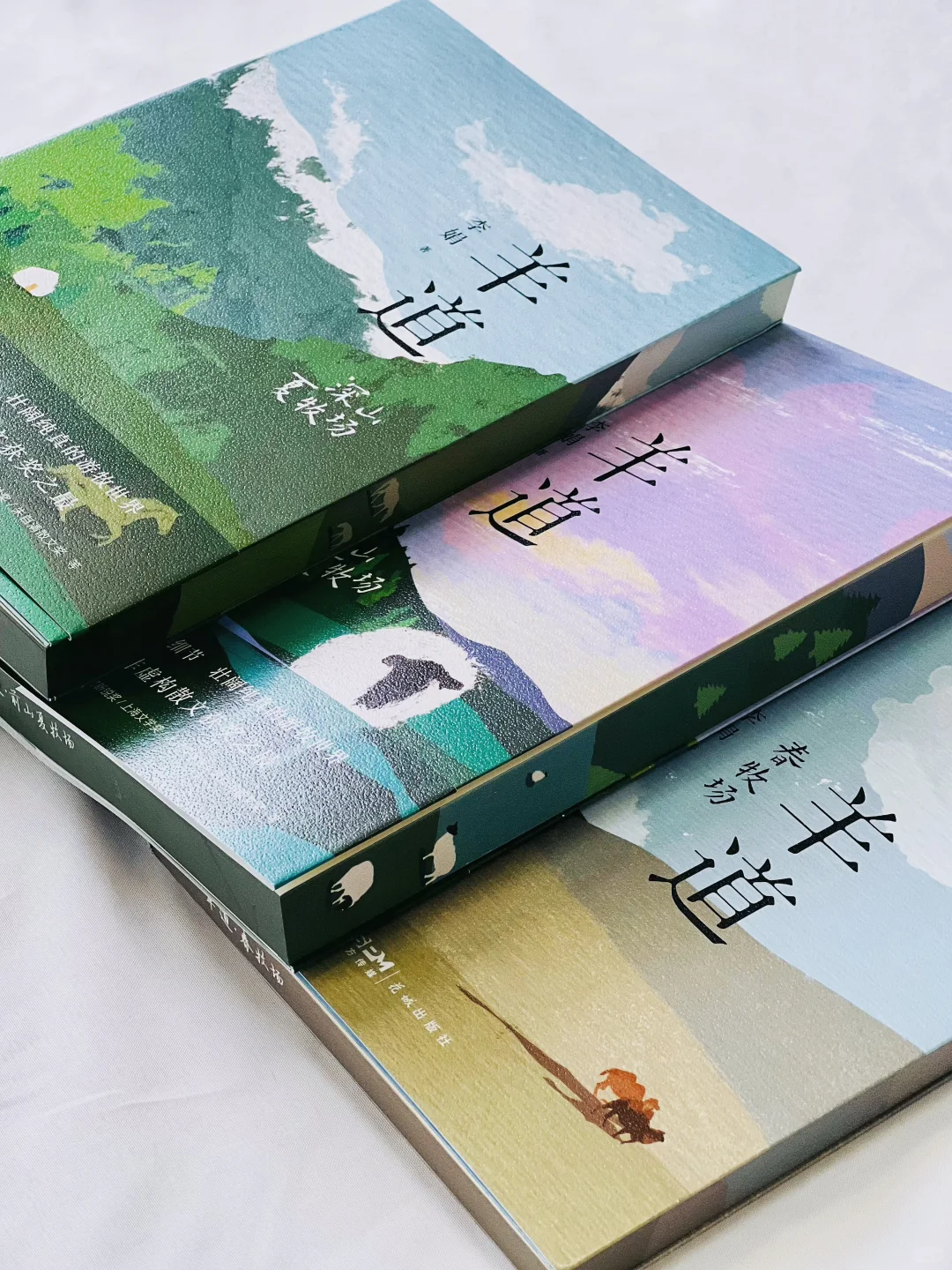 赠书｜我宣布！今年夏天蕞治愈的书出现了！