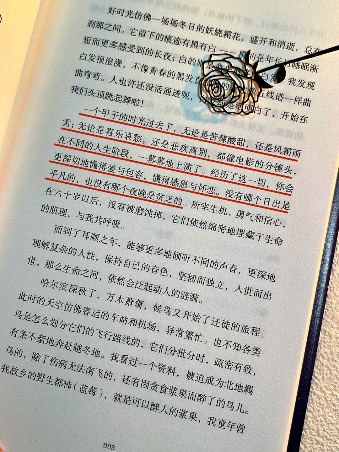 迟子建老师的新书‼️