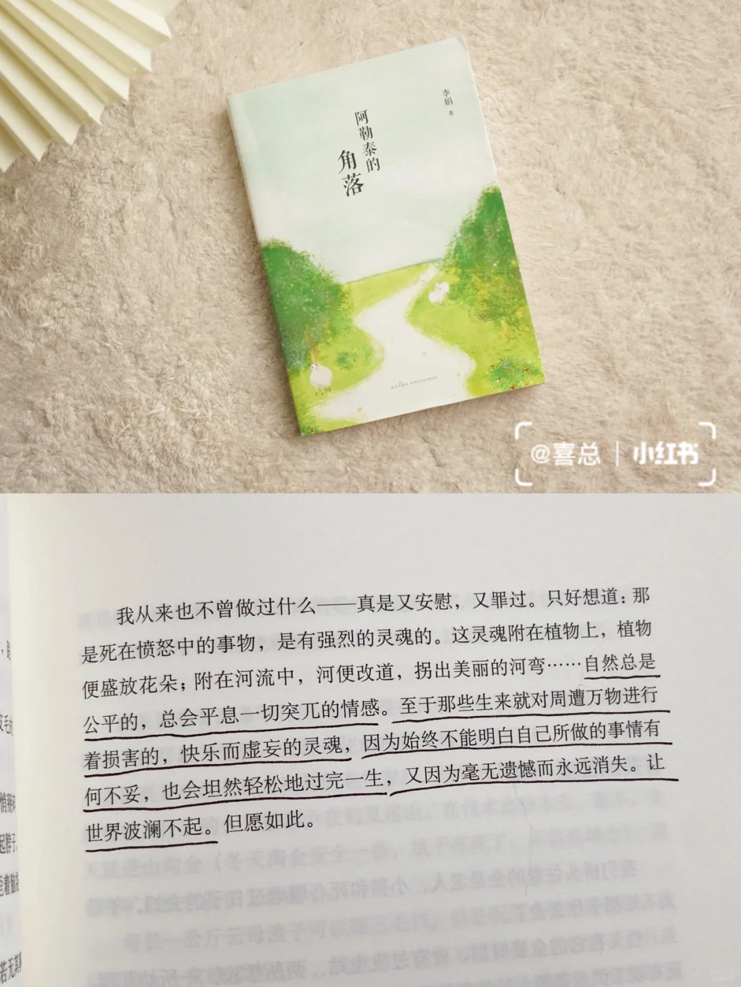 近期治愈书单｜送给敏感、迷茫、爱拧巴的你🪐