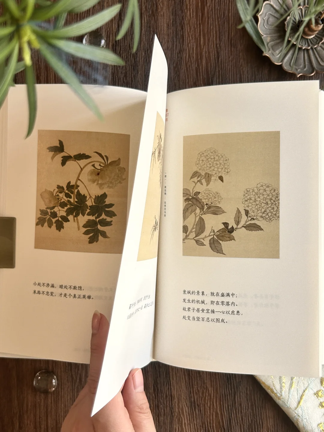 高分奇书|句句皆精华,小书里藏着处世大智慧