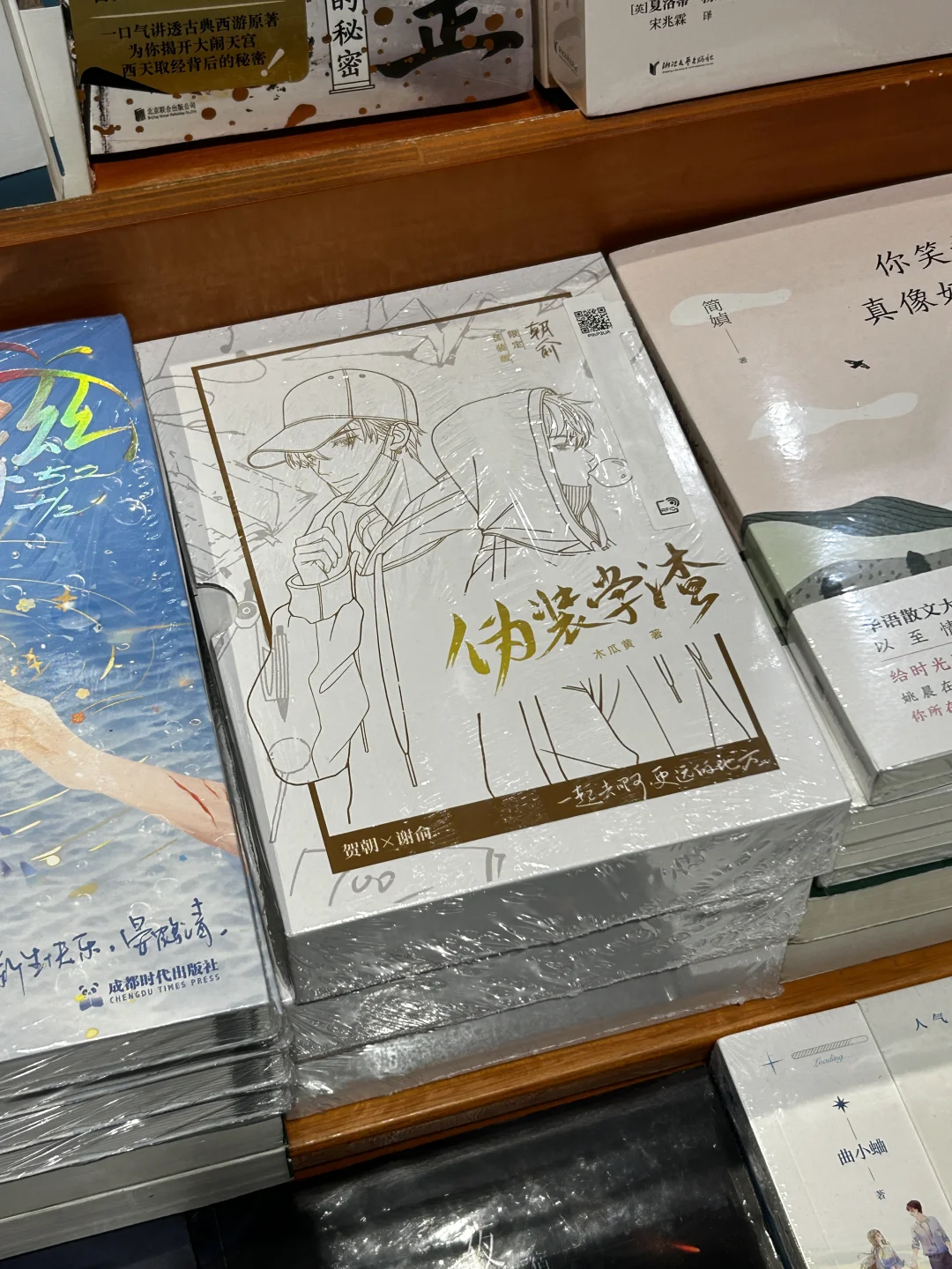 一期超级好看的小说推荐