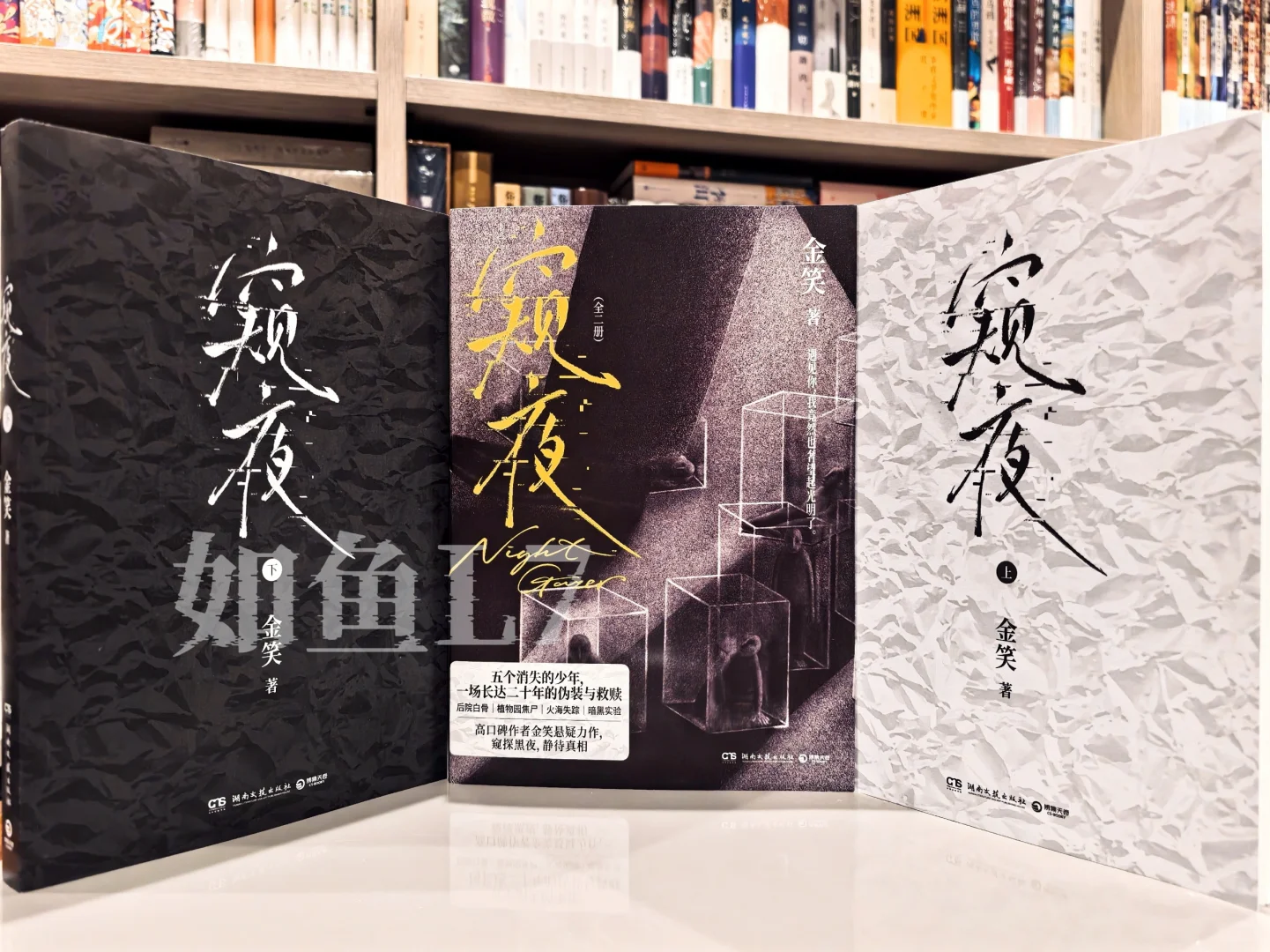 2025年4~5月鱼叔新购阅国产悬疑新作10种