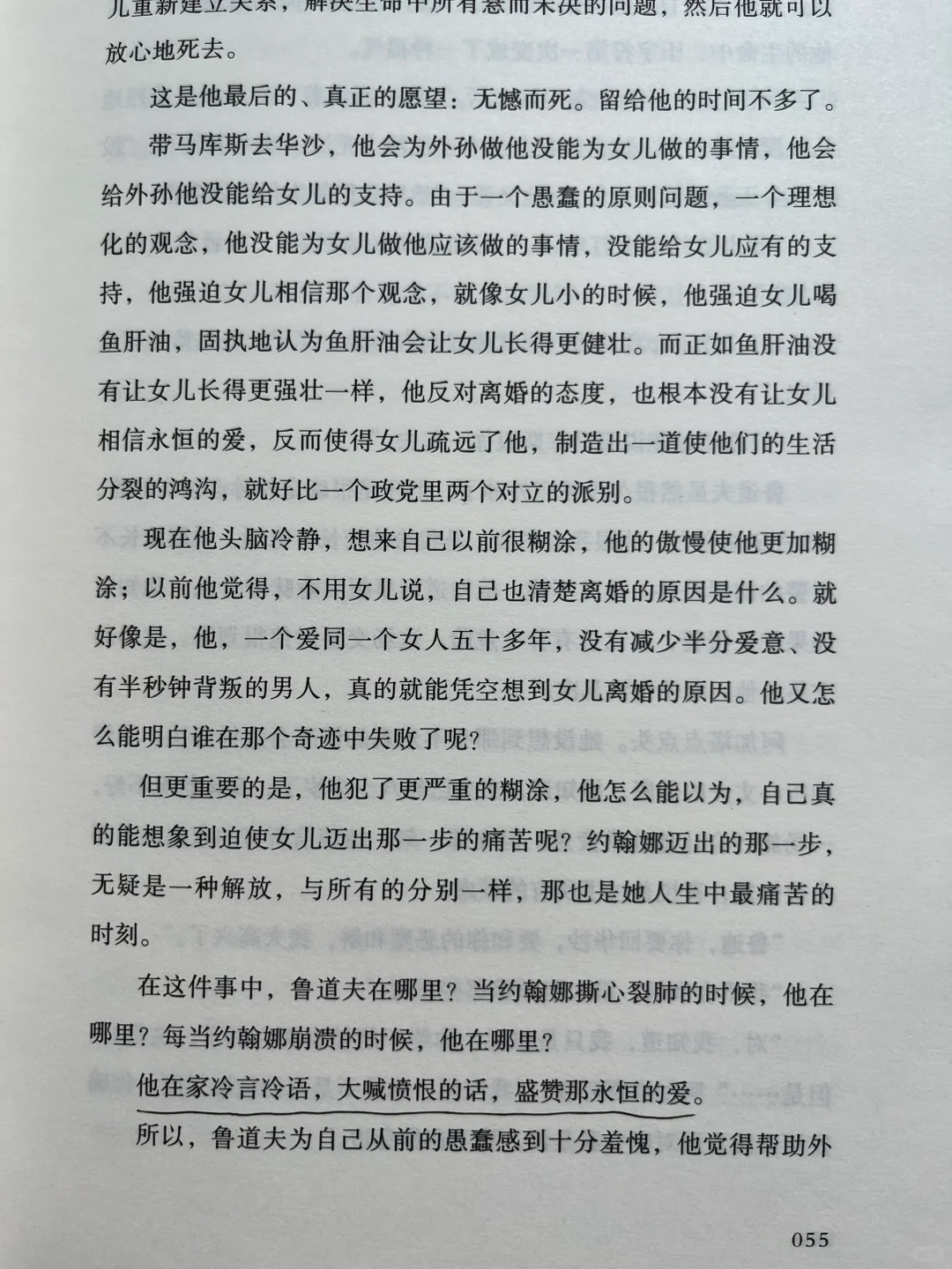 平静不属于人类，属于晒太阳的猫、不动的山。