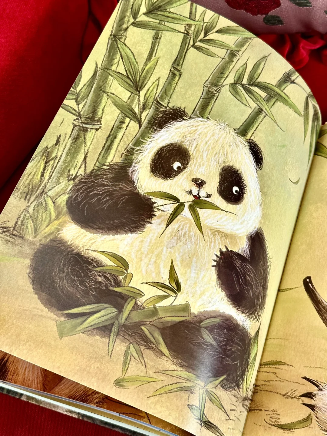 相信我！这是2025最值得入手的绘本！！绝对！！