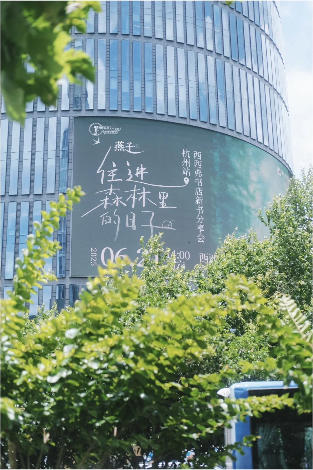 我活波美丽又有内在的燕姐发新书了！！！🌲🌲