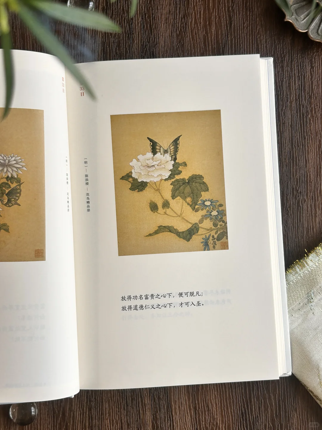 高分奇书|句句皆精华,小书里藏着处世大智慧