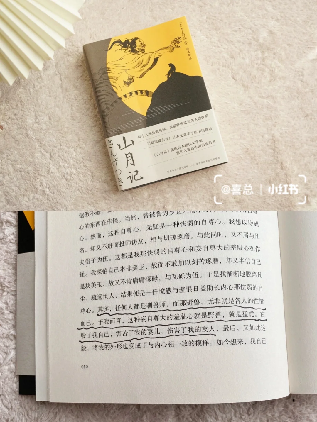近期治愈书单｜送给敏感、迷茫、爱拧巴的你🪐