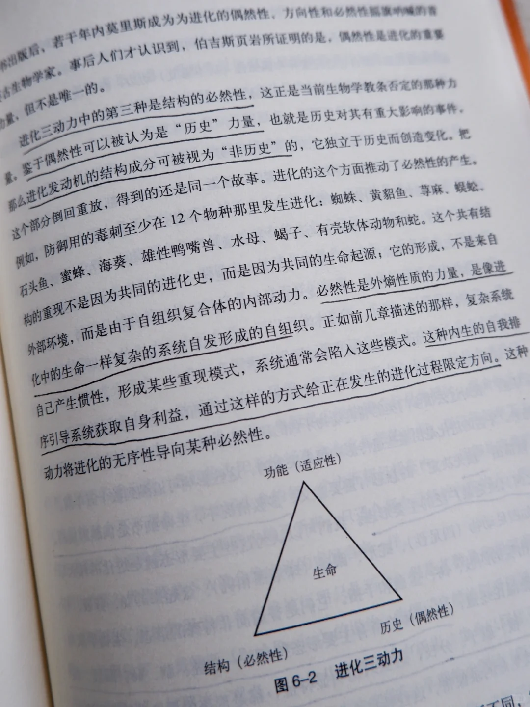 《科技想要什么》｜一本被低估的未来预言之书