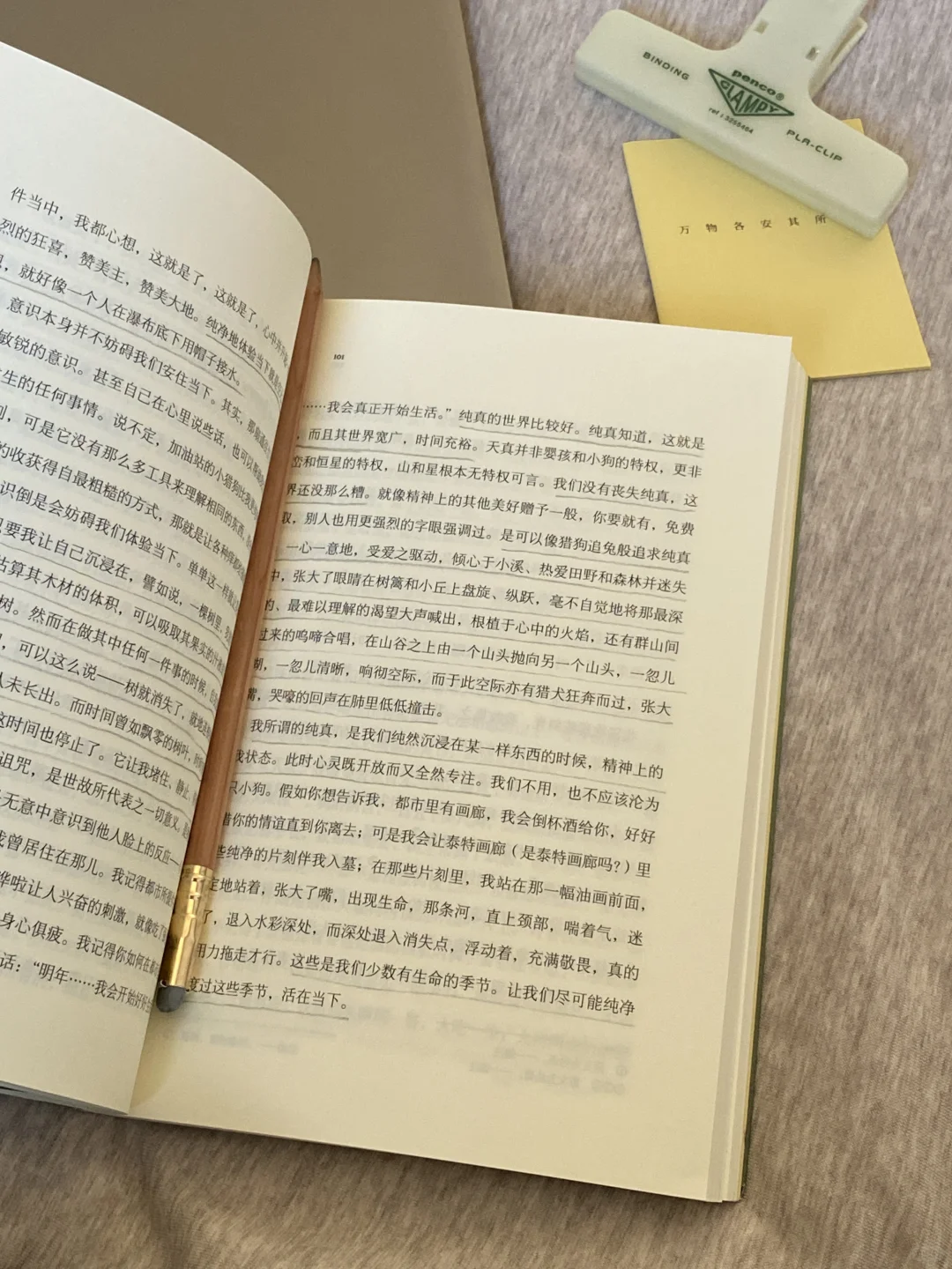挖到宝了❕她的文字美到令人心颤啊啊啊