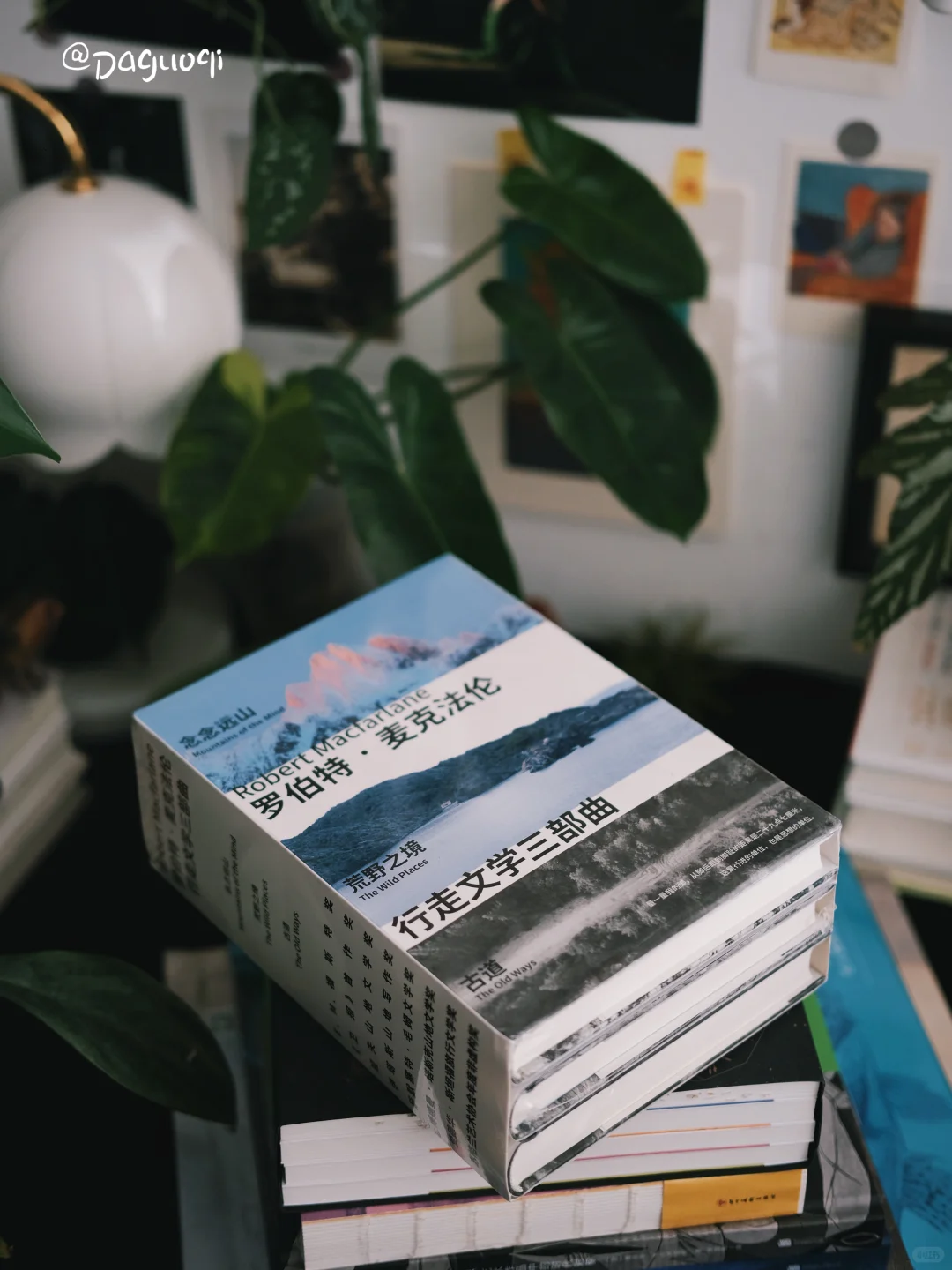新书留影🎨