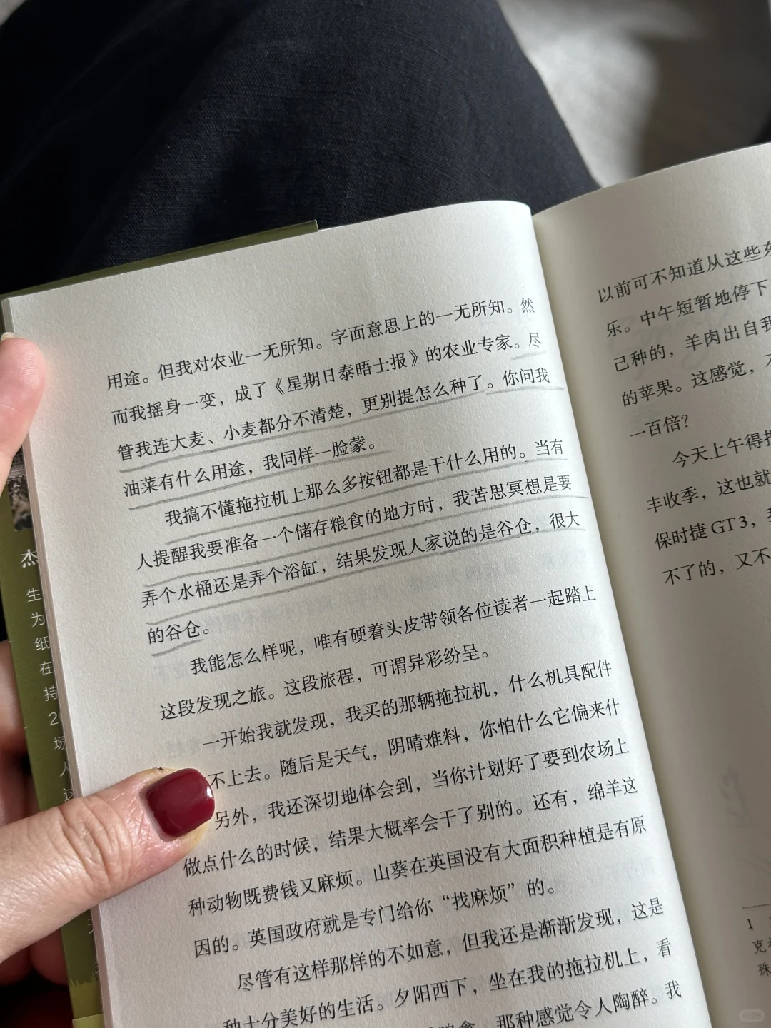 求你们去看！今年读到最最最解压的一本！