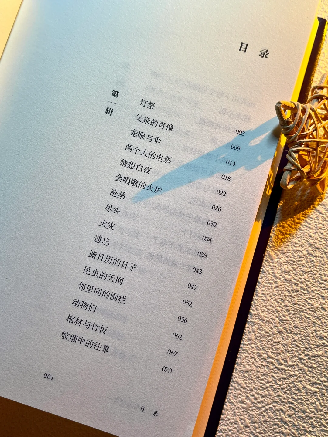 迟子建老师的新书‼️