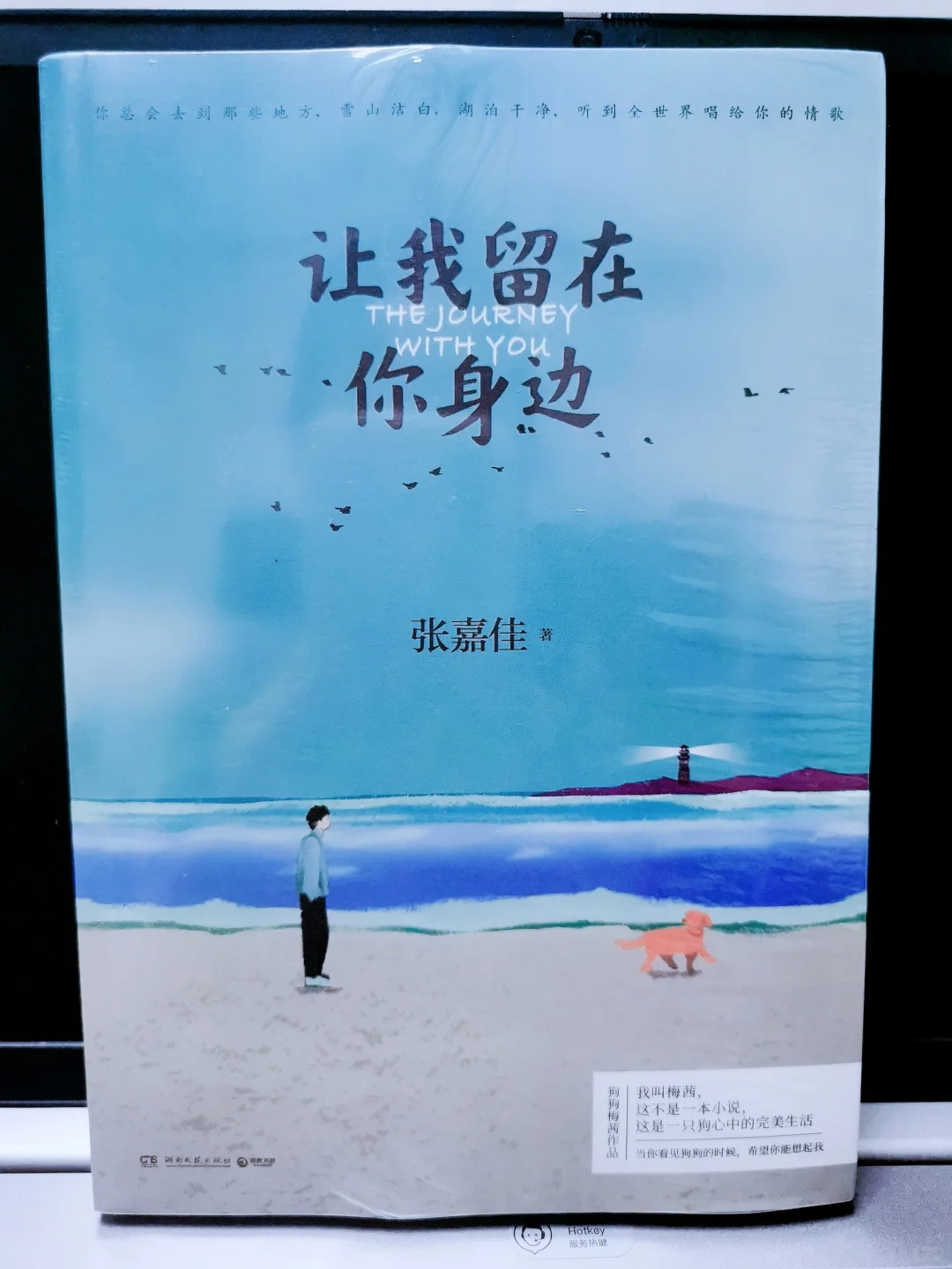 新书📚到啦——我的书架又添新宝贝啦！