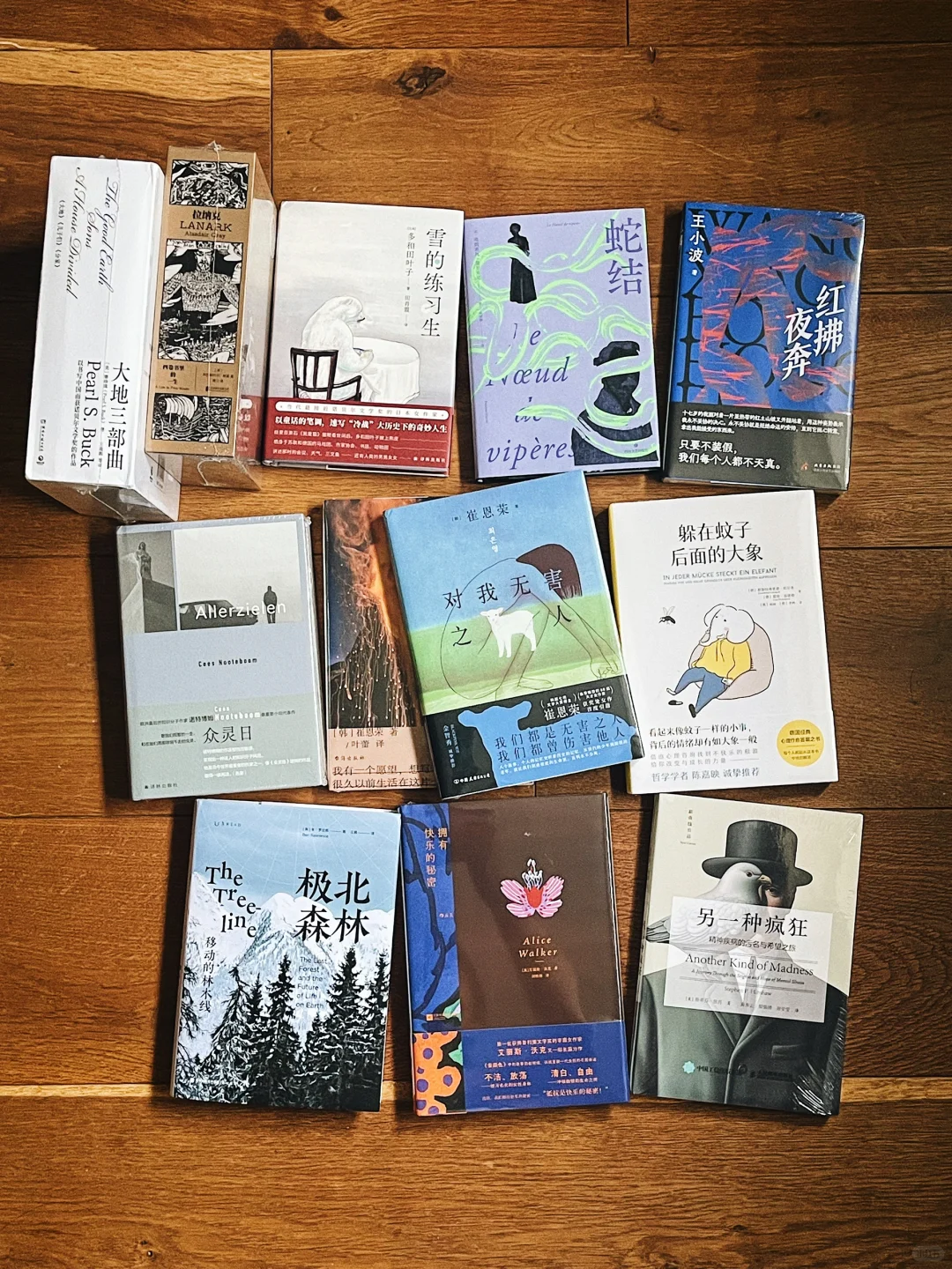 5月新书开箱｜用一个书单迎接夏天🍃