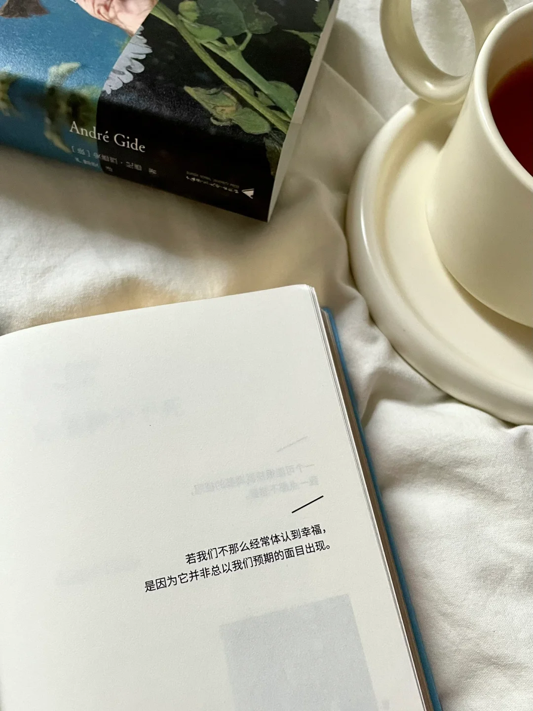 从窄门到种子，纪德用文字照见灵魂的撕裂