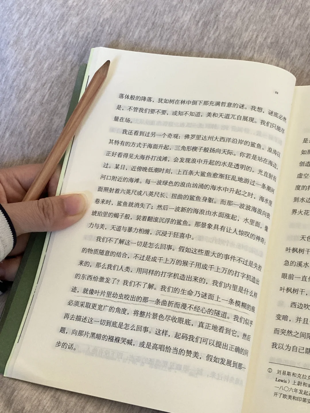 挖到宝了❕她的文字美到令人心颤啊啊啊