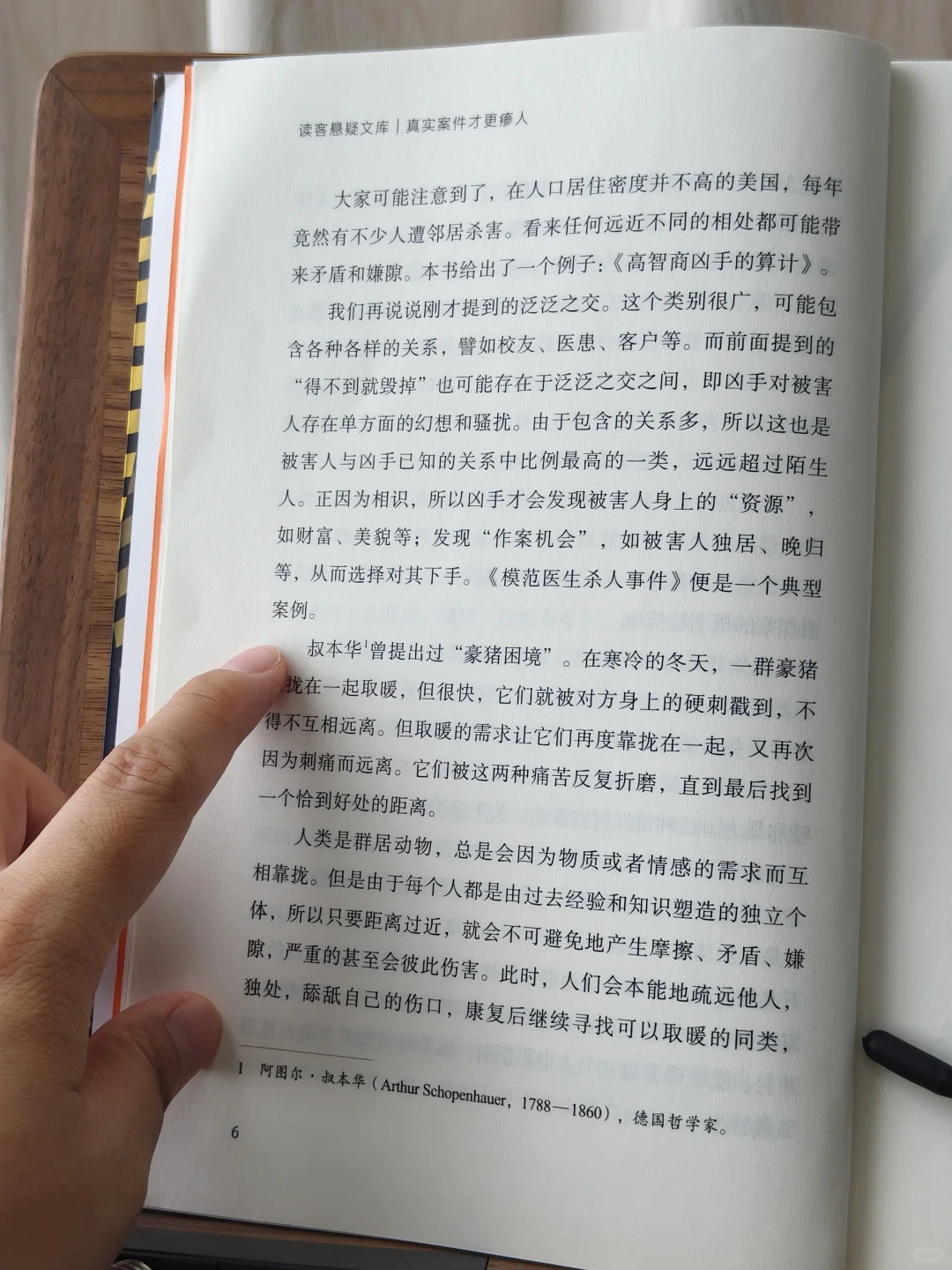 📖新书尝鲜|“恶魔藏在最温柔的微笑里”