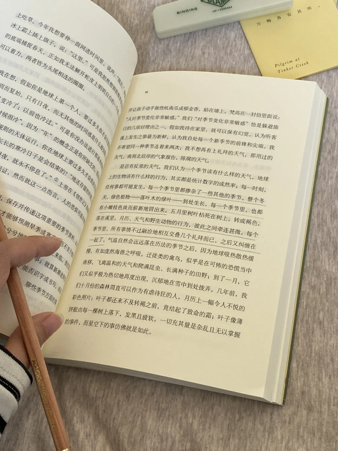 挖到宝了❕她的文字美到令人心颤啊啊啊