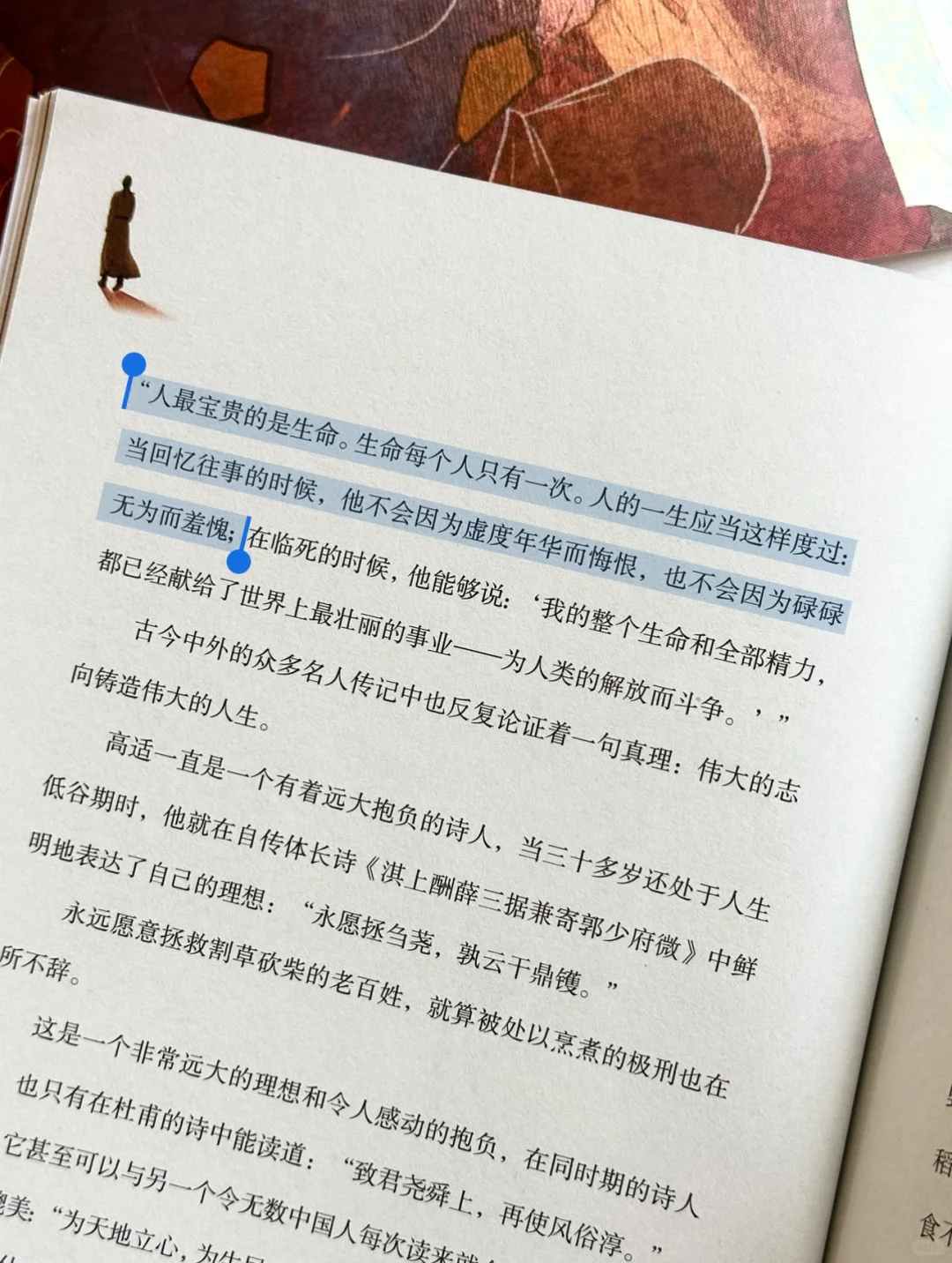今天被这本书彻底治愈了我的焦虑✨