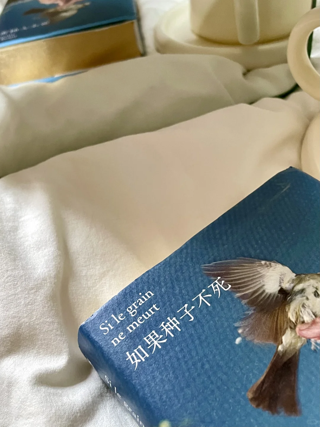 从窄门到种子，纪德用文字照见灵魂的撕裂