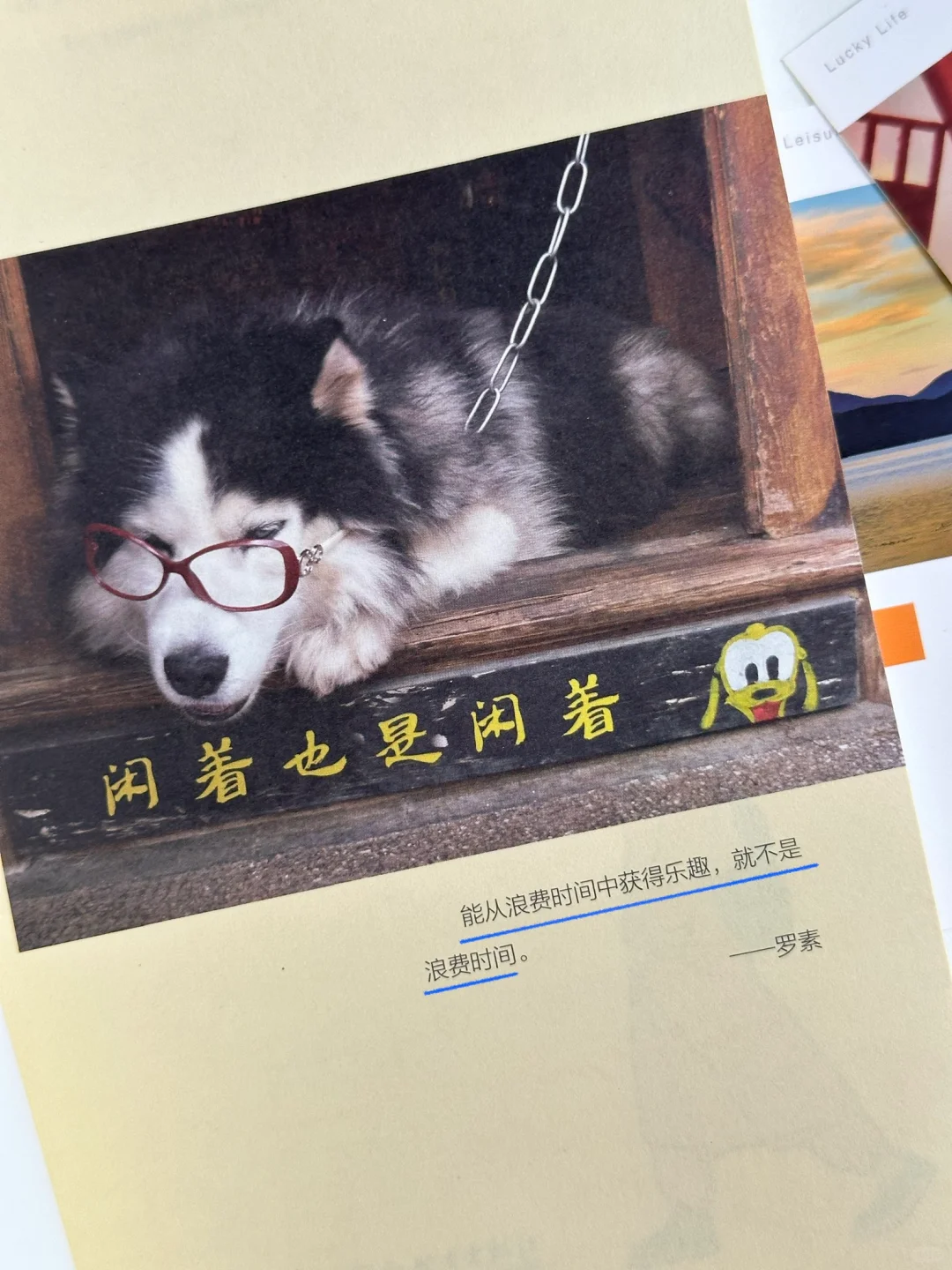 女孩！活在自己的热爱里，而不是别人的眼光