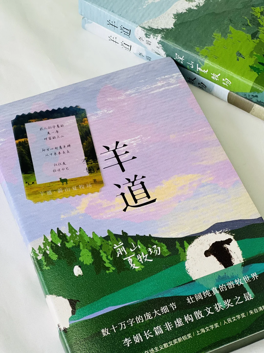 赠书｜我宣布！今年夏天蕞治愈的书出现了！